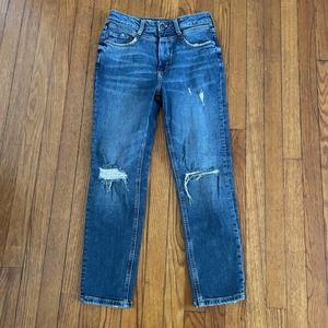 Pilcro Anthro Anthropologie Size 27 High Rise Jeans Distressed